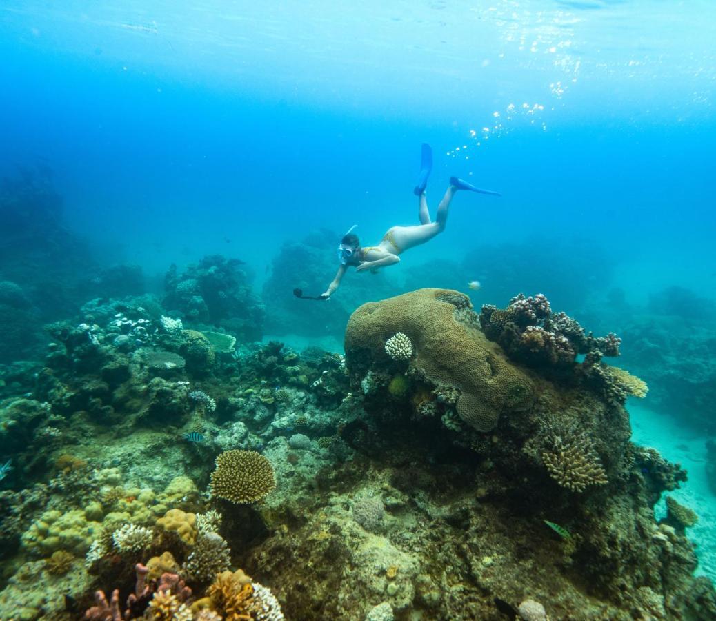 Royal Davui Island Resort (Adults Only) Eksteriør bilde